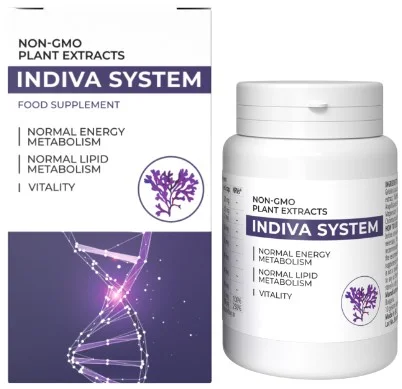 InDiva System
